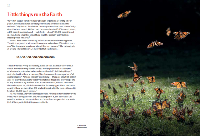 Butterflies and Moths of Aotearoa