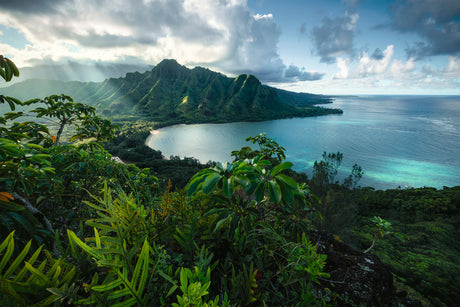 Ravensburger: Hawaiian Viewpoint Puzzle - 5000 Piece